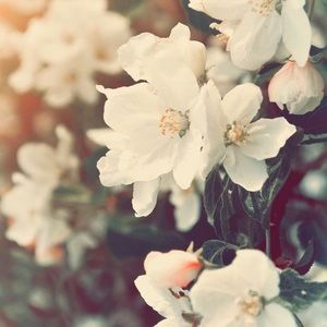 Meet your Posher, Jai